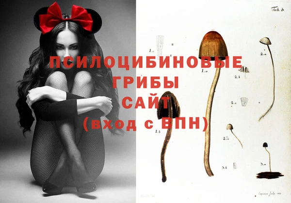 Альфа ПВП Бутурлиновка
