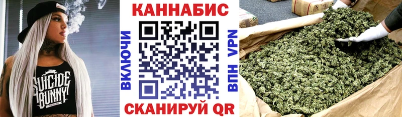 Шишки марихуана план  Тарко-Сале 